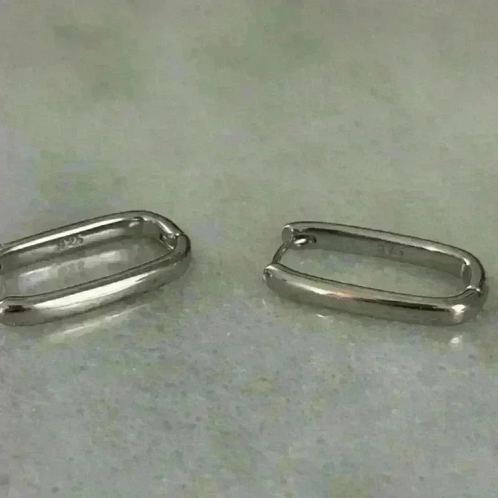Sterling Silver Bella Oval Hoop Earrings
Brand New - Picture 4 of 4